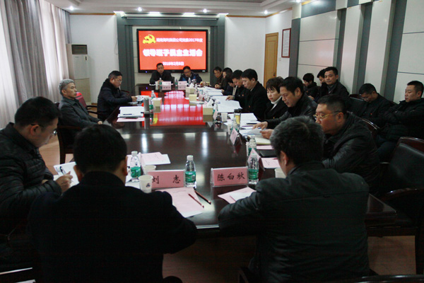 海利集团,长沙杀虫剂,长沙光气衍生物,长沙氨基酸保护剂,长沙锂离子电池材料