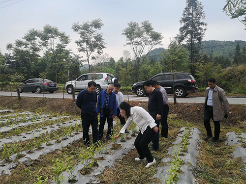 海利集团,长沙杀虫剂,长沙光气衍生物,长沙氨基酸?；ぜ?长沙锂离子电池材料