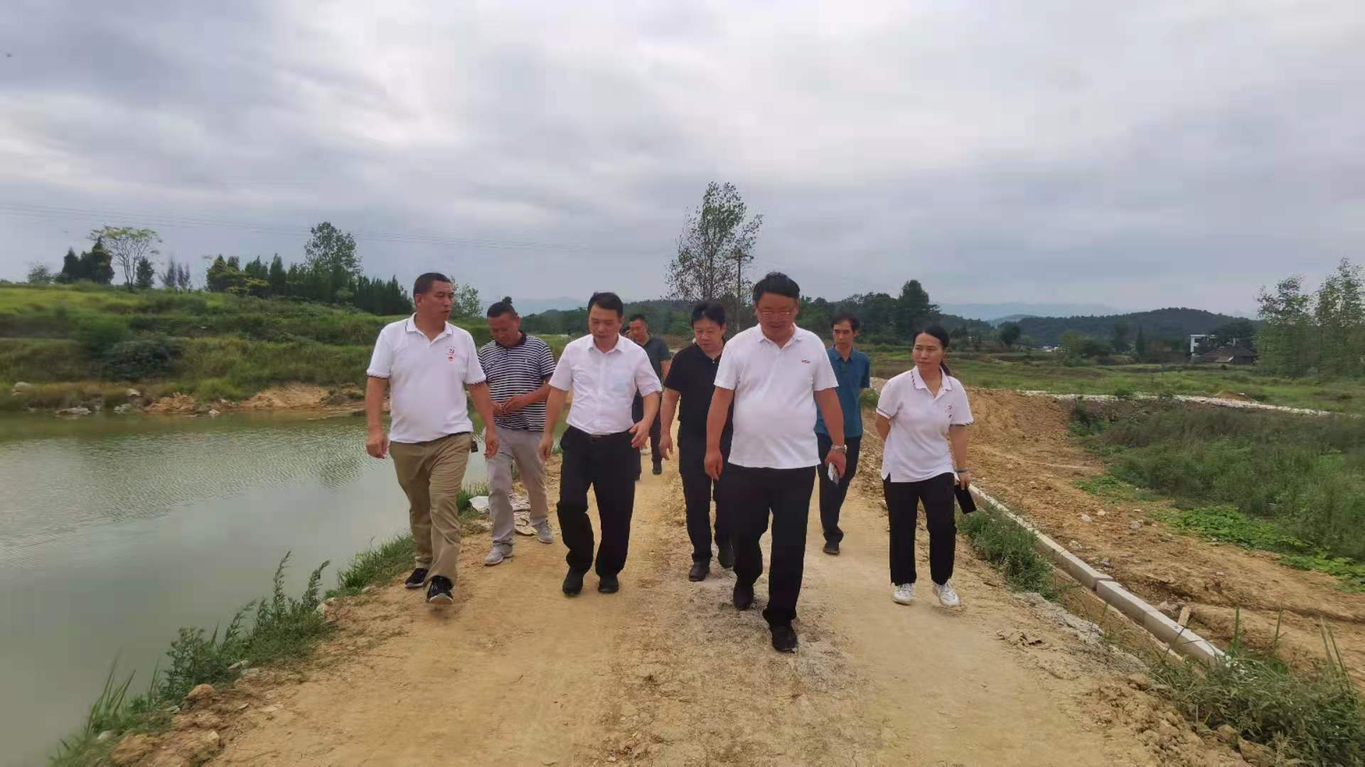 海利集团,长沙杀虫剂,长沙光气衍生物,长沙氨基酸保护剂,长沙锂离子电池材料