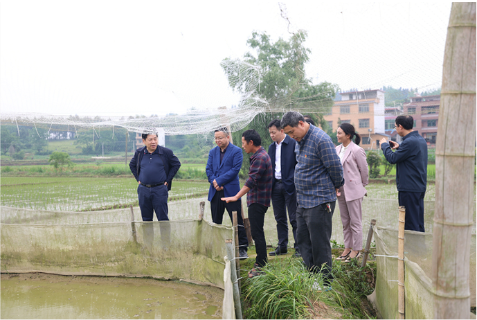 海利集团,长沙杀虫剂,长沙光气衍生物,长沙氨基酸保护剂,长沙锂离子电池材料