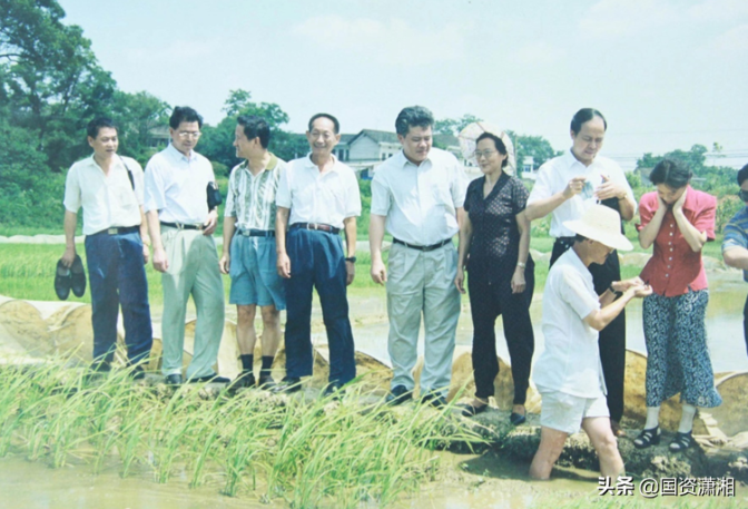 海利集团,长沙杀虫剂,长沙光气衍生物,长沙氨基酸保护剂,长沙锂离子电池材料