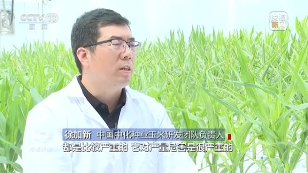 海利集团,长沙杀虫剂,长沙光气衍生物,长沙氨基酸保护剂,长沙锂离子电池材料