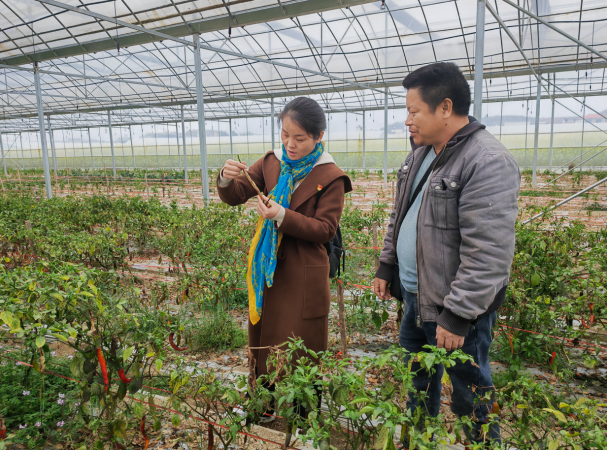 海利集团,长沙杀虫剂,长沙光气衍生物,长沙氨基酸保护剂,长沙锂离子电池材料