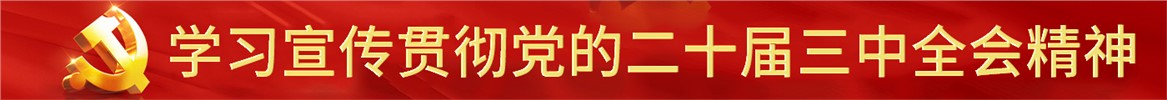 学习宣传贯彻党的二十届三中全会精神